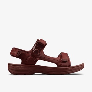 Clarks Martine Rose Mens Sandal 2 Oxblood Textile Burgundy | TA5718439