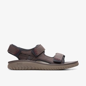 Clarks Wesley Bay Brown Brown | AD8031295